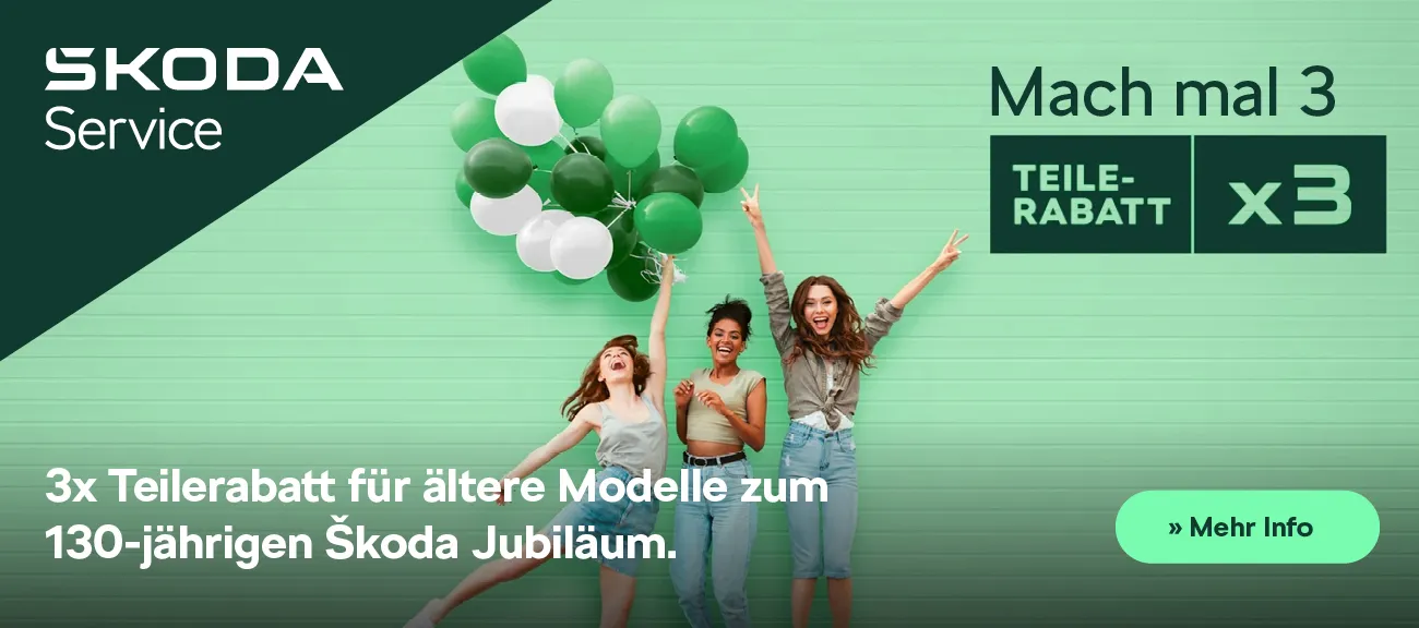 Škoda Teile Rabatt x3